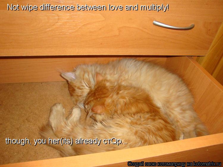 Not wipe difference between love and multiply! though, you her(its) already стQр...... Котоматрица: Not wipe difference between love and multiply! though, you her(its) already стQр...
