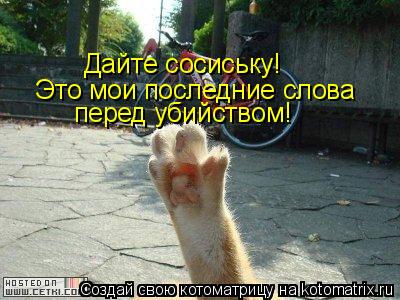 Дайте сосиську! Это мои последние слова перед убийством!... Котоматрица: Дайте сосиську! Это мои последние слова перед убийством!