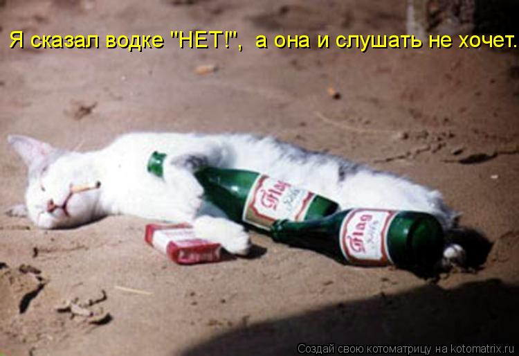 Я сказал водке "НЕТ!", а она и слушать не хочет.... Котоматрица: Я сказал водке "НЕТ!", а она и слушать не хочет.
