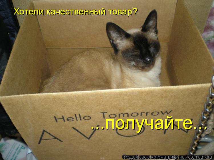 Хотели качественный товар? ...получайте...... Котоматрица: Хотели качественный товар? ...получайте...
