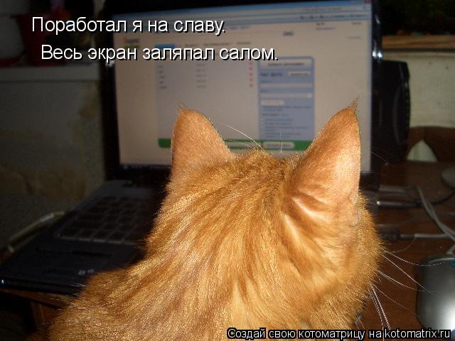 Поработал я на славу. Весь экран заляпал салом.... Котоматрица: Поработал я на славу. Весь экран заляпал салом.