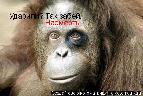 Ударили? Так забей. Насмерть.... Котоматрица: Ударили? Так забей. Насмерть.