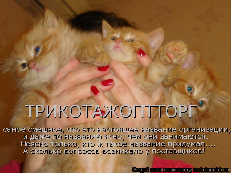ТРИКОТАЖОПТТОРГ самое смешное, что это настоящее название организации, и даже по названию ясно, чем ... Котоматрица: ТРИКОТАЖОПТТОРГ самое смешное, что это настоящее название организации, и даже по названию ясно, чем они занимаются. Неясно только, кто ж та