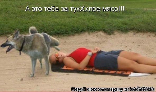 А это тебе за тухХхлое мясо!!!... Котоматрица: А это тебе за тухХхлое мясо!!!
