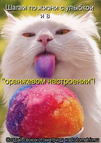 Котоматрица: Шагай по жизни с улыбкой и в  "оранжевом настроении"!