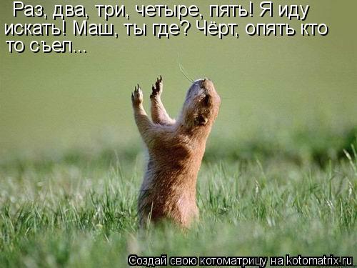 Раз, два, три, четыре, пять! Я иду искать! Маш, ты где? Чёрт, опять кто то съел...... Котоматрица: Раз, два, три, четыре, пять! Я иду искать! Маш, ты где? Чёрт, опять кто то съел...