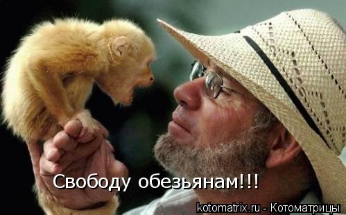 Свободу обезьянам!!!... Котоматрица: Свободу обезьянам!!!