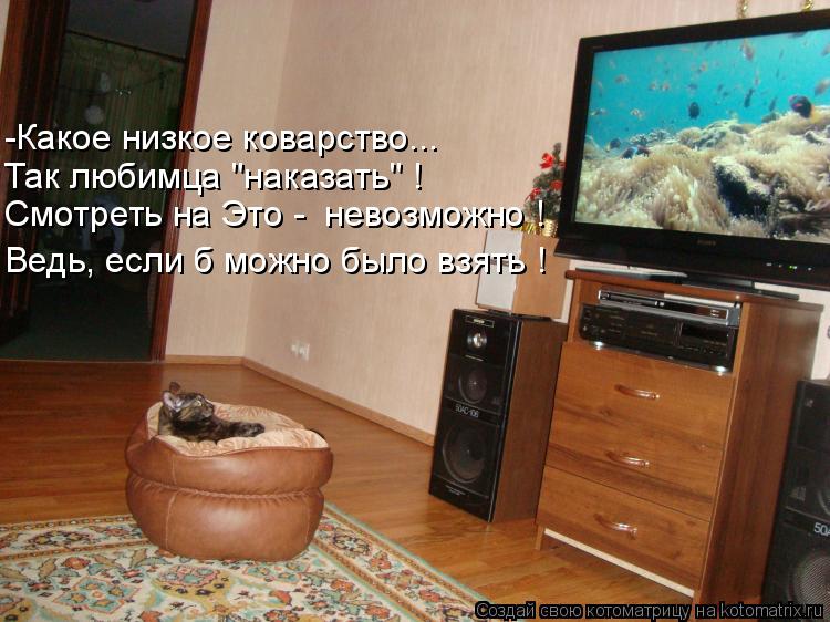 Ведь, если б можно было взять ! Смотреть на Это - невозможно ! -Какое низкое коварство... Так любимц... Котоматрица: Ведь, если б можно было взять ! Смотреть на Это - невозможно ! -Какое низкое коварство... Так любимца "наказать" !
