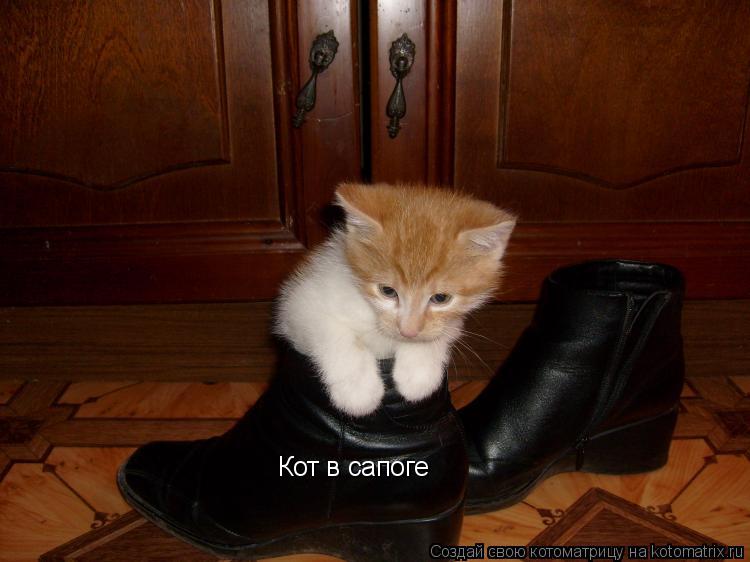 Котоматрица: Кот в сапоге