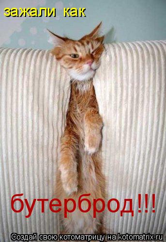 зажали как бутерброд!!!... Котоматрица: зажали как бутерброд!!!