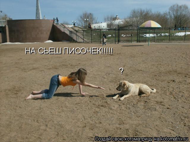 НА СЬЕШ ПИСОЧЕК!!!!! ?... Котоматрица: НА СЬЕШ ПИСОЧЕК!!!!! ?