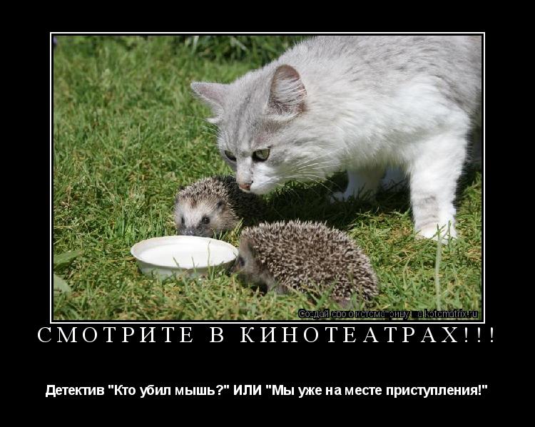 Смотрите в кинотеатрах!!! Детектив "Кто убил мышь?" ИЛИ "Мы уже на месте приступления!"... Котоматрица: Смотрите в кинотеатрах!!! Детектив "Кто убил мышь?" ИЛИ "Мы уже на месте приступления!"