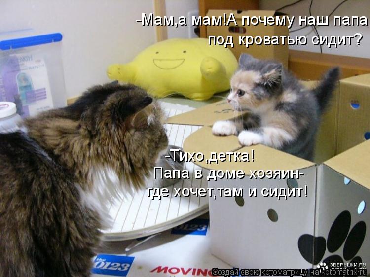 -Мам,а мам!А почему наш папа под кроватью сидит? -Тихо,детка! Папа в доме хозяин- где хочет,там и си... Котоматрица: -Мам,а мам!А почему наш папа под кроватью сидит? -Тихо,детка! Папа в доме хозяин- где хочет,там и сидит!