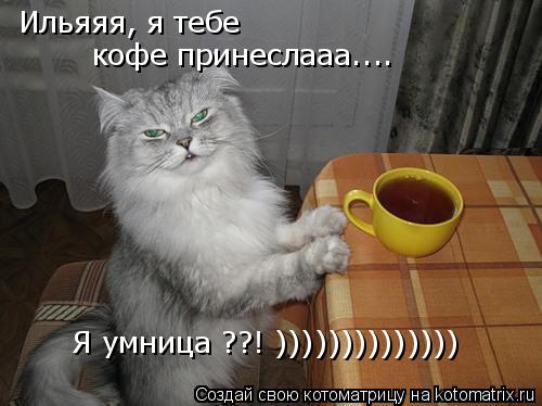 Ильяяя, я тебе кофе принеслааа.... Я умница ??! ))))))))))))))... Котоматрица: Ильяяя, я тебе кофе принеслааа.... Я умница ??! ))))))))))))))