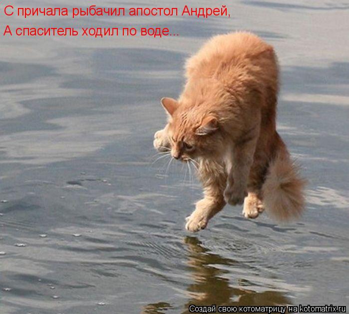 С причала рыбачил апостол Андрей, А спаситель ходил по воде...... Котоматрица: С причала рыбачил апостол Андрей, А спаситель ходил по воде...