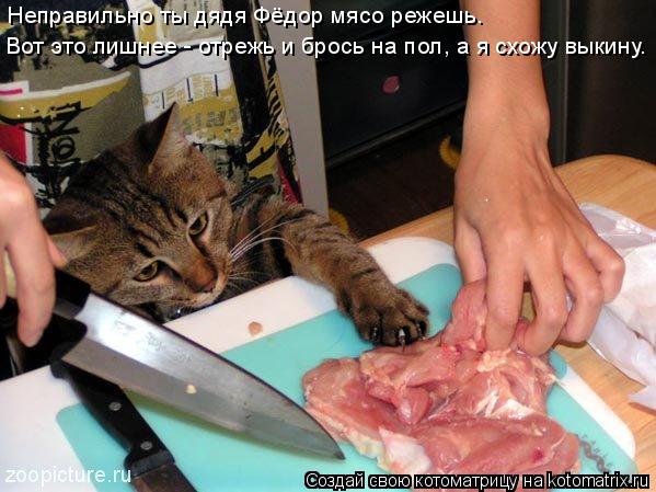Неправильно ты дядя Фёдор мясо режешь. Вот это лишнее - отрежь и брось на пол, а я схожу выкину.... Котоматрица: Неправильно ты дядя Фёдор мясо режешь. Вот это лишнее - отрежь и брось на пол, а я схожу выкину.