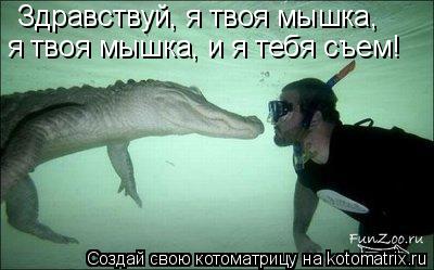 Котоматрица: Здравствуй, я твоя мышка, Здравствуй, я твоя мышка, я твоя мышка, и я тебя съем!