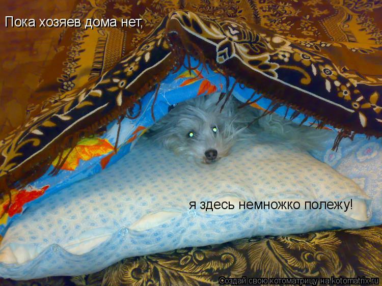 Пока хозяев дома нет, я здесь немножко полежу!... Котоматрица: Пока хозяев дома нет, я здесь немножко полежу!