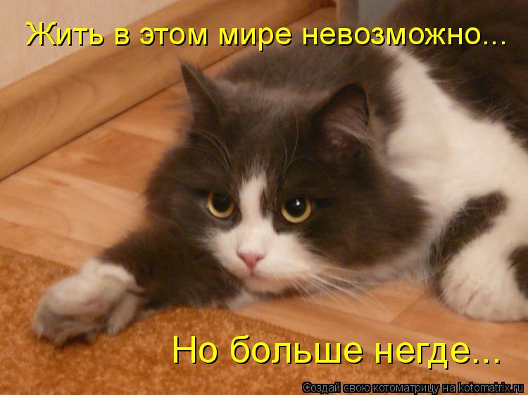 Жить в этом мире невозможно... Но больше негде...... Котоматрица: Жить в этом мире невозможно... Но больше негде...
