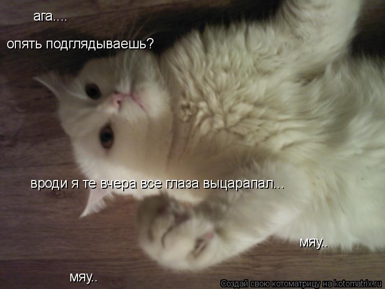 ага.... опять подглядываешь? вроди я те вчера все глаза выцарапал... мяу.. мяу..... Котоматрица: ага.... опять подглядываешь? вроди я те вчера все глаза выцарапал... мяу.. мяу..