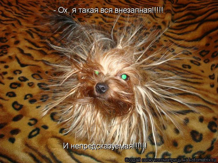 - Ох, я такая вся внезапная!!!!! И непредсказуемая!!!!!!... Котоматрица: - Ох, я такая вся внезапная!!!!! И непредсказуемая!!!!!!