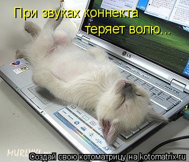 При звуках коннекта теряет волю...... Котоматрица: При звуках коннекта теряет волю...