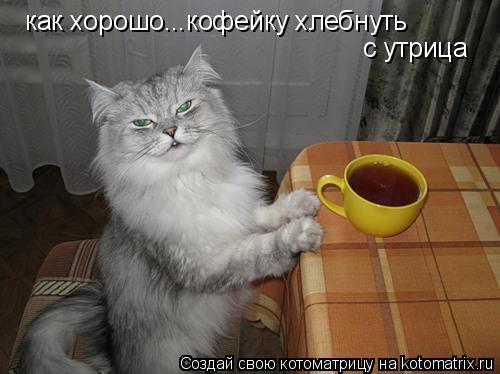 Котоматрица: как хорошо...кофейку хлебнуть с утрица