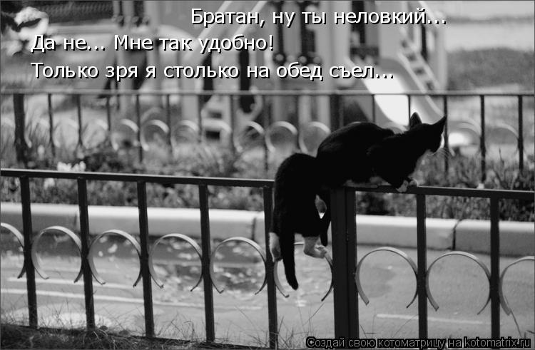 Братан, ну ты неловкий... Да не... Мне так удобно! Только зря я столько на обед съел...... Котоматрица: Братан, ну ты неловкий... Да не... Мне так удобно! Только зря я столько на обед съел...