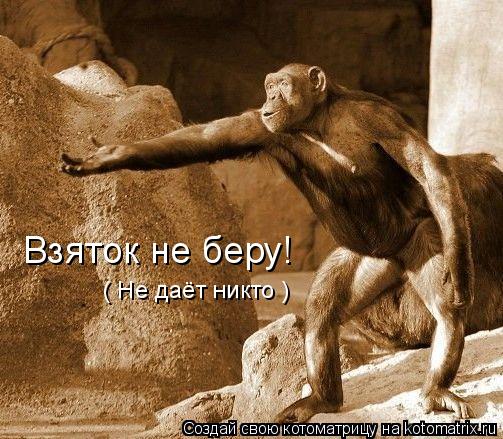 Взяток не беру! ( Не даёт никто )... Котоматрица: Взяток не беру! ( Не даёт никто )