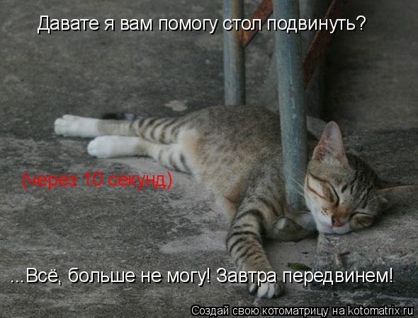 Котоматрица: Давате я вам помогу стол подвинуть? (через 10 секунд) ...Всё, больше не могу! Завтра передвинем!