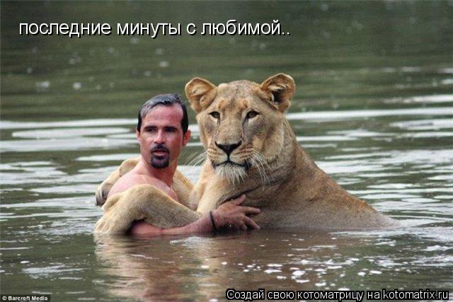 Котоматрица: последние минуты с любимой..