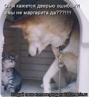 Котоматрица: Ой я кажется дверью ошибся?! а вы не маргарита да???!!!!
