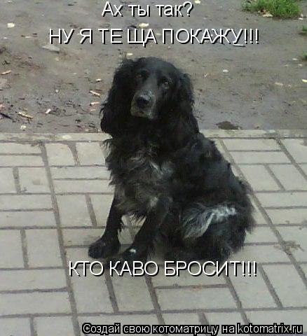 Ах ты так? НУ Я ТЕ ЩА ПОКАЖУ!!! КТО КАВО БРОСИТ!!!... Котоматрица: Ах ты так? НУ Я ТЕ ЩА ПОКАЖУ!!! КТО КАВО БРОСИТ!!!