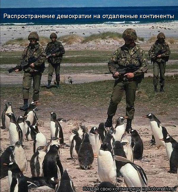 Котоматрица: Распространение демократии на отдаленные континенты