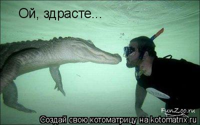 Ой, здрасте...... Котоматрица: Ой, здрасте...
