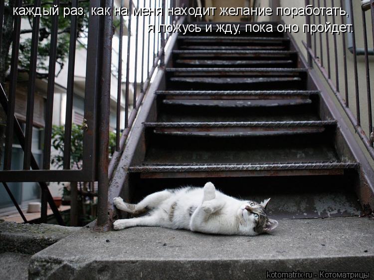 каждый раз, как на меня находит желание поработать, я ложусь и жду, пока оно пройдет.... Котоматрица: каждый раз, как на меня находит желание поработать, я ложусь и жду, пока оно пройдет.