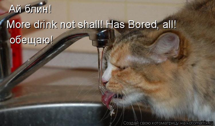 Котоматрица: Ай блин! More drink not shall! Has Bored, all! обещаю!