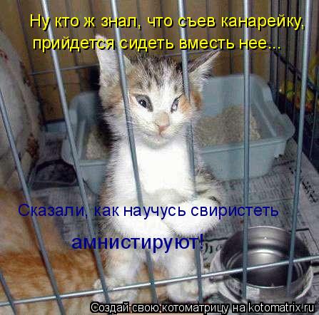 Ну кто ж знал, что съев канарейку, прийдется сидеть вместь нее... Сказали, как научусь свиристеть ам... Котоматрица: Ну кто ж знал, что съев канарейку, прийдется сидеть вместь нее... Сказали, как научусь свиристеть амнистируют!