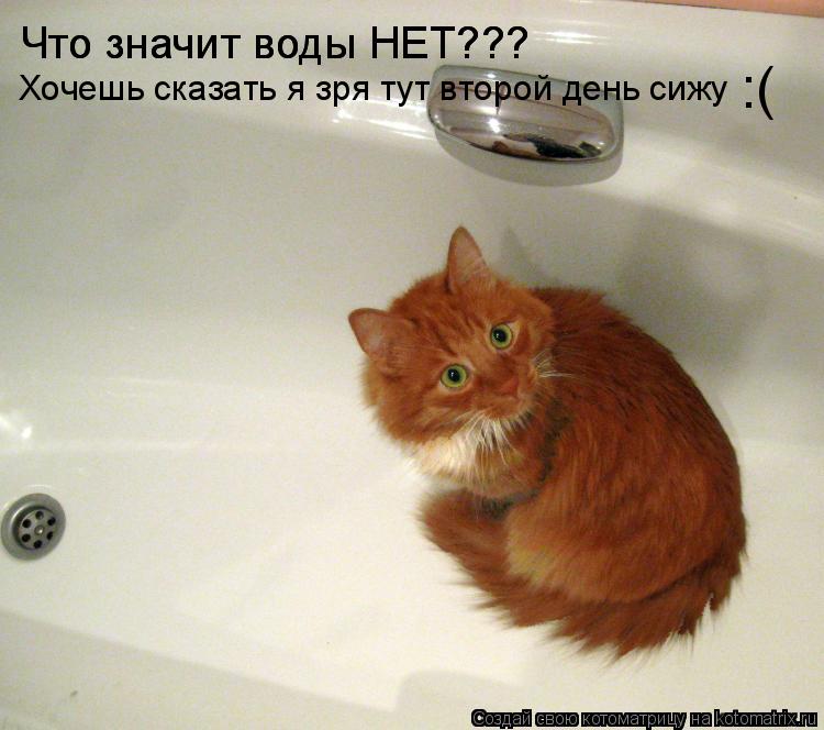 Что значит воды НЕТ??? Что значит воды НЕТ??? Хочешь сказать я зря тут второй день сижу :(... Котоматрица: Что значит воды НЕТ??? Что значит воды НЕТ??? Хочешь сказать я зря тут второй день сижу :(