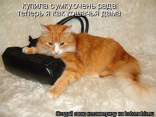 Котоматрица: купила сумку.очень рада теперь я как кошачья дама