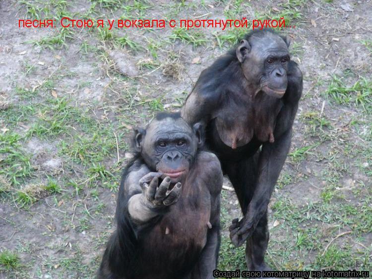 песня: Стою я у вокзала с протянутой рукой...... Котоматрица: песня: Стою я у вокзала с протянутой рукой...