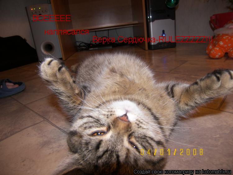 Котоматрица: ВСЕЕЕЕЕ наплясался Верка Сердючка-RULEZZZZZ!!!