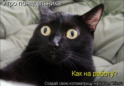 Утро понедельника Как на работу?... Котоматрица: Утро понедельника Как на работу?