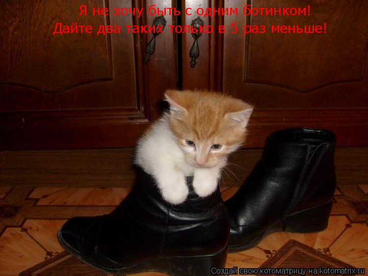 Я не хочу быть с одним ботинком! Дайте два таких только в 5 раз меньше!... Котоматрица: Я не хочу быть с одним ботинком! Дайте два таких только в 5 раз меньше!