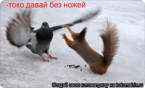 -токо давай без ножей... Котоматрица: -токо давай без ножей