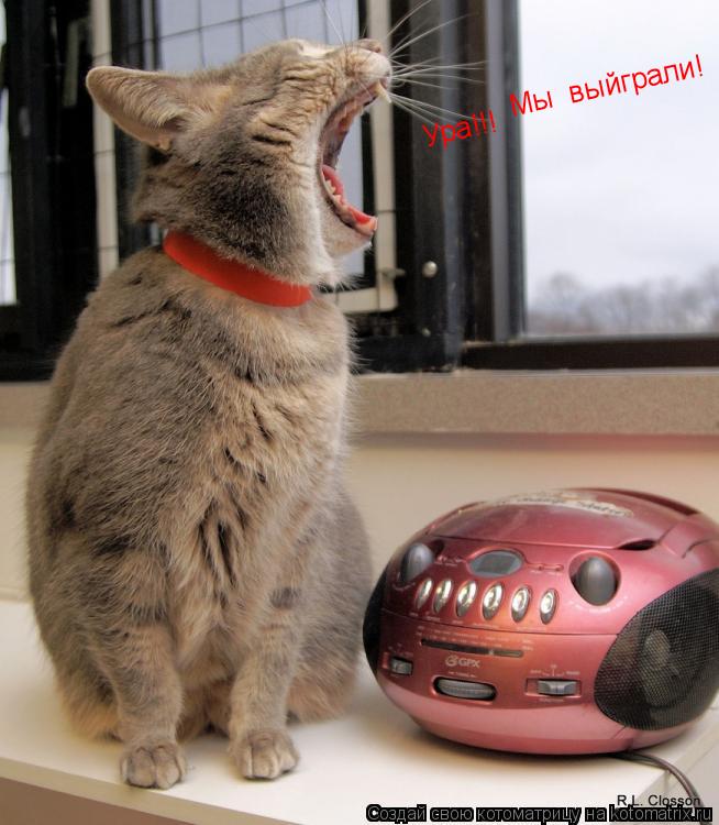 Ура!!! Мы выйграли!... Котоматрица: Ура!!! Мы выйграли!