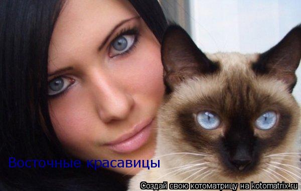 Восточные красавицы... Котоматрица: Восточные красавицы
