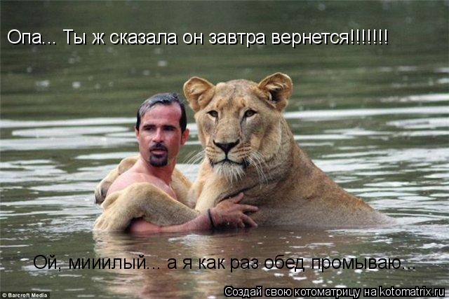 Опа... Ты ж сказала он завтра вернется!!!!!!! Ой, мииилый... а я как раз обед промываю...... Котоматрица: Опа... Ты ж сказала он завтра вернется!!!!!!! Ой, мииилый... а я как раз обед промываю...