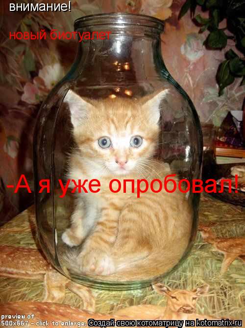 Котоматрица: внимание! новый биотуалет -А я уже опробовал!