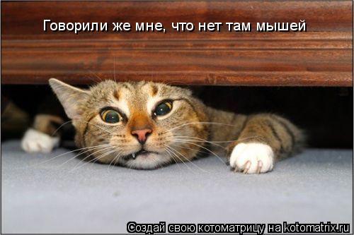 Говорили же мне, что нет там мышей... Котоматрица: Говорили же мне, что нет там мышей
